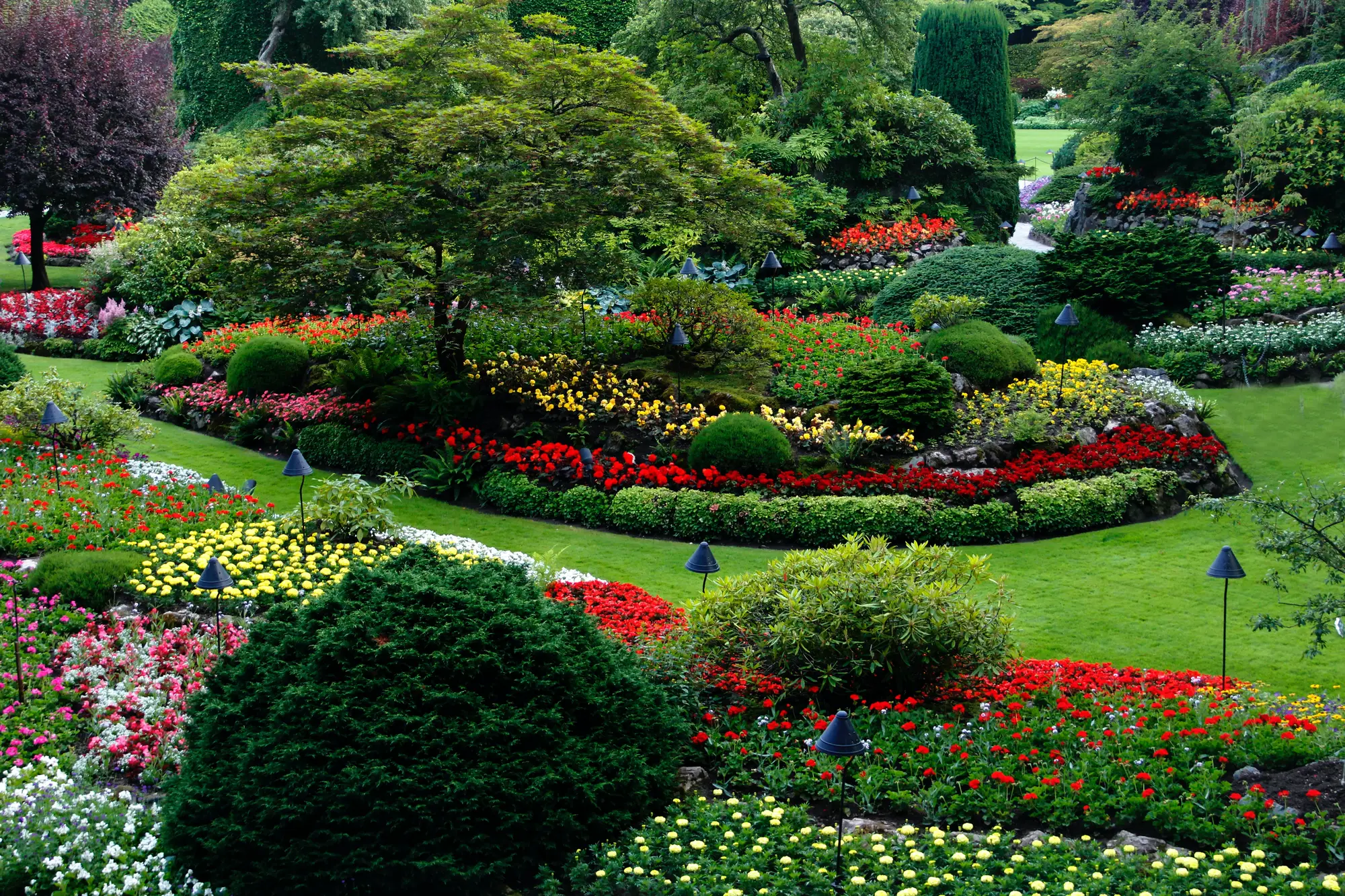 Landscaped grounds with flowering beds, shrubs and a curving lawn